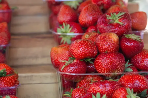 Farmers: there will be no blueberry harvest, rain is rotting strawberries, hard to mow