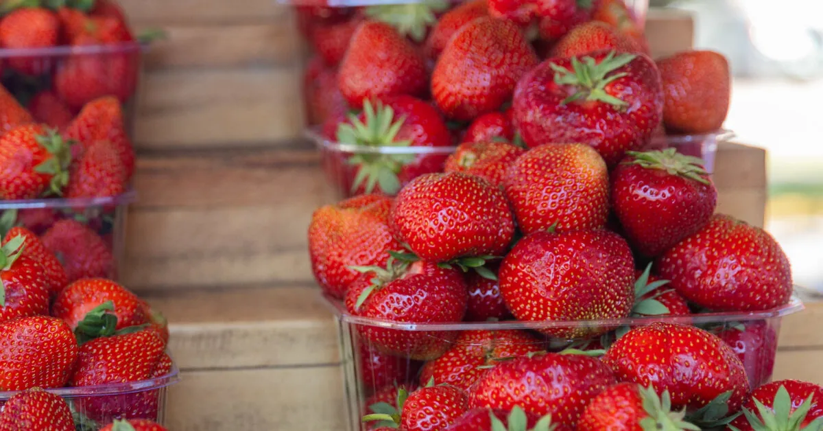 Farmers: there will be no blueberry harvest, rain is rotting strawberries, hard to mow