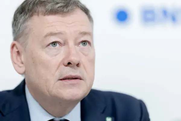 Vidmantas Janulevičius: from the prime minister we heard a promise – "let's earn, then divide"