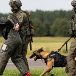 Another 20 border guards with service dogs are being sent to Latvia to help manage the situation at the border