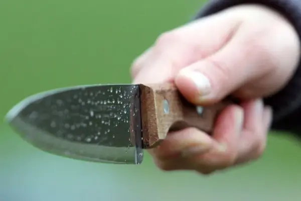 Resident of Alytus district accused of killing a drinking companion