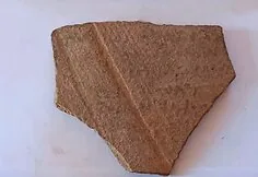 Archeologai paskelbė apie plataus Bizantijos laikų gyvenvietės atradimą Dachlos oazėje.