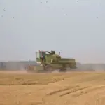 Grain processors emphasize rate stability, growers say – they are the largest in the region every year