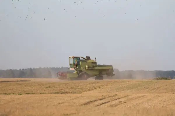 Grain processors emphasize rate stability, growers say – they are the largest in the region every year