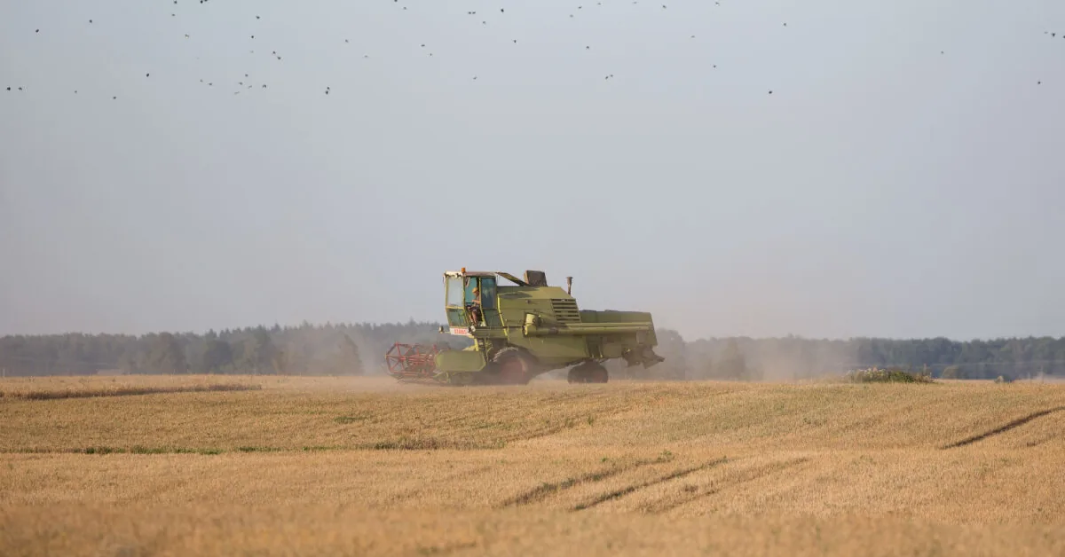 Grain processors emphasize rate stability, growers say – they are the largest in the region every year