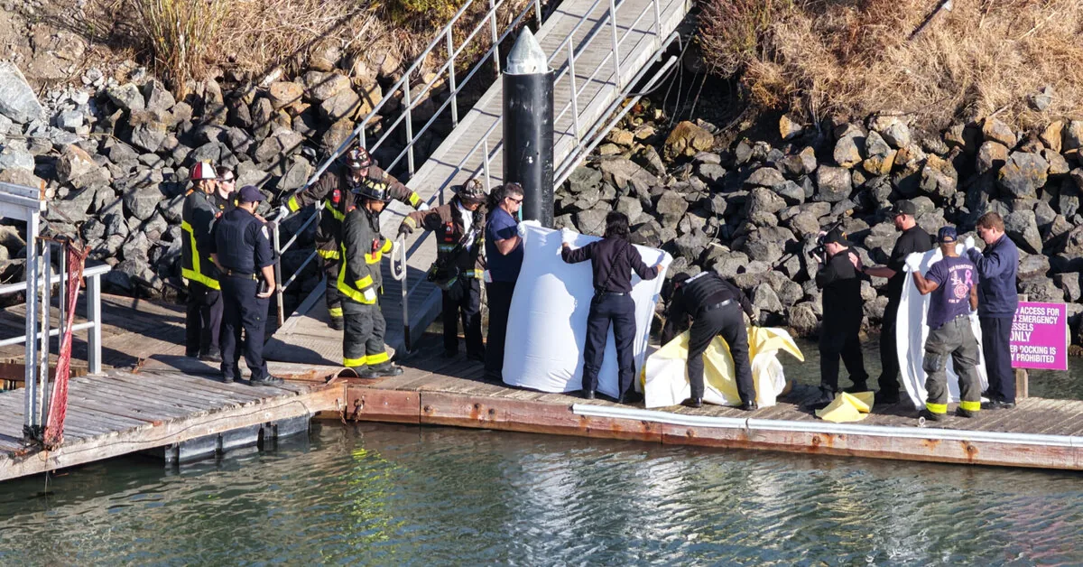 Near San Francisco, a ship sank at Alcatraz Island