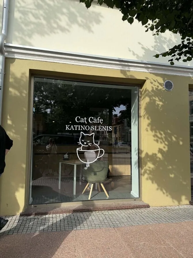 Aurelija Jašinskienė/Cat cafe opened in Klaipėda attracted visitors' interest