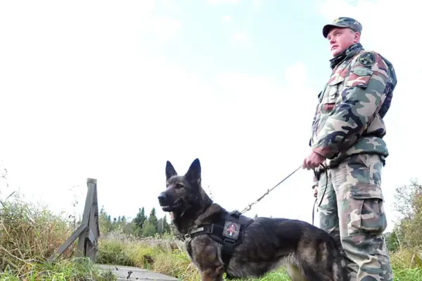 For officers' overtime fighting against smuggling balloons – 800 thousand euros from the reserve