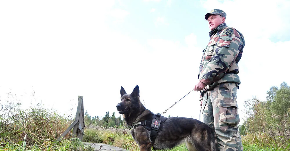 For officers' overtime fighting against smuggling balloons – 800 thousand euros from the reserve