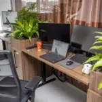 Not just a winter problem: why eyes get dry in summer and what does the work environment have to do with it?