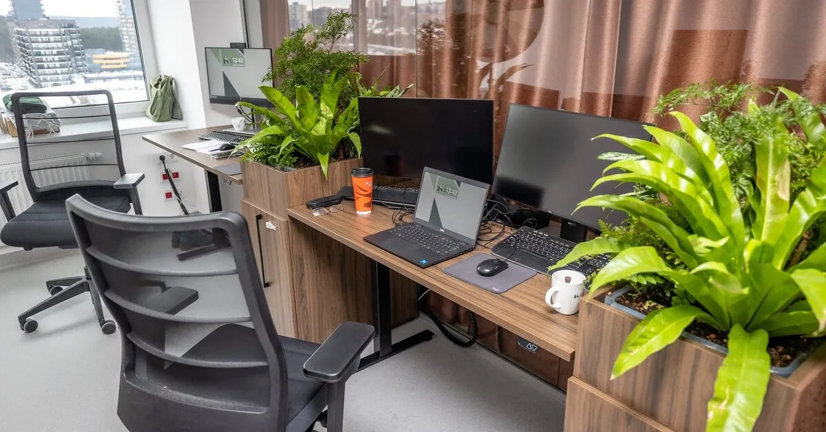 Not just a winter problem: why eyes get dry in summer and what does the work environment have to do with it?