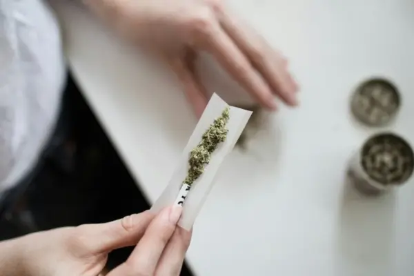 A new study reveals what happens in the brain when cannabis is used daily