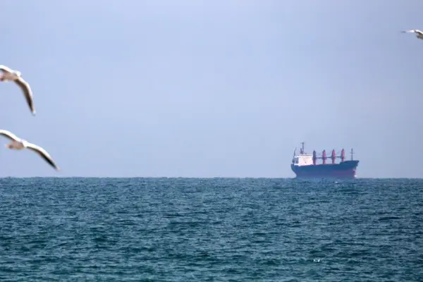 Russia attacked 2 commercial ships in the Black Sea: captain killed, crew members injured