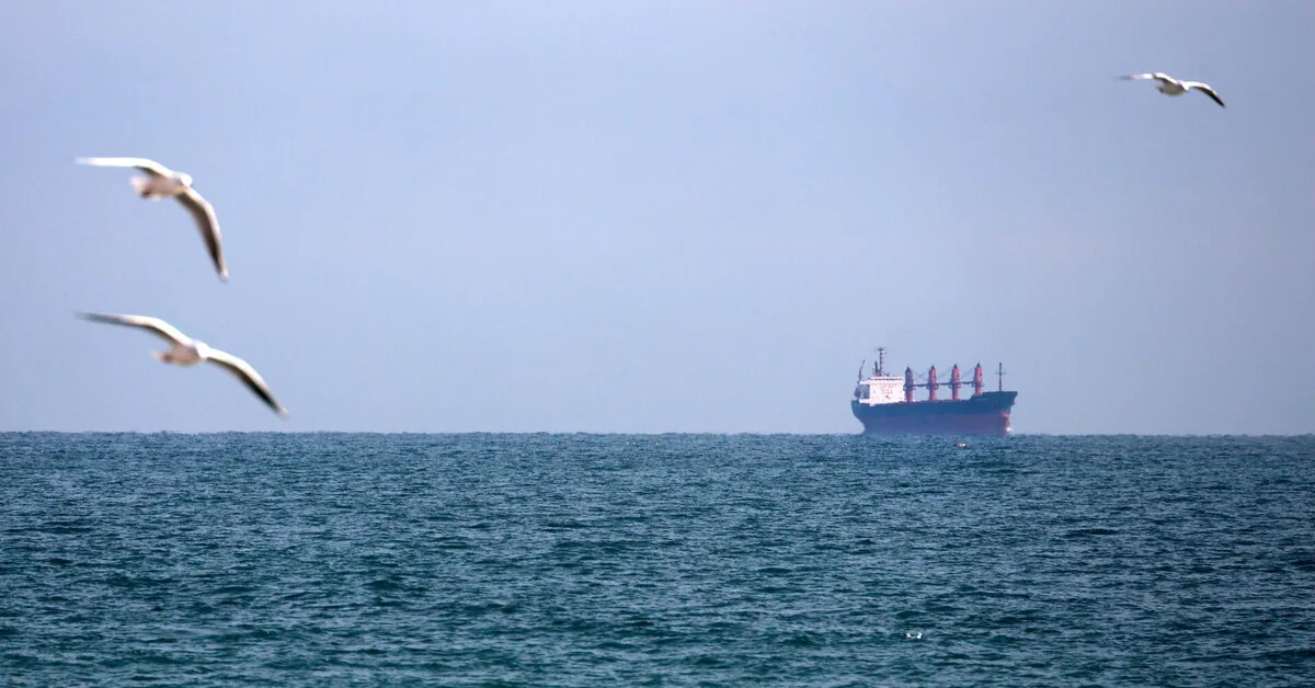 Russia attacked 2 commercial ships in the Black Sea: captain killed, crew members injured