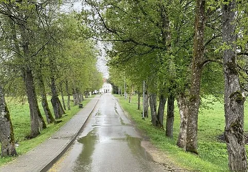 Antazavė, kelias į dvarą
