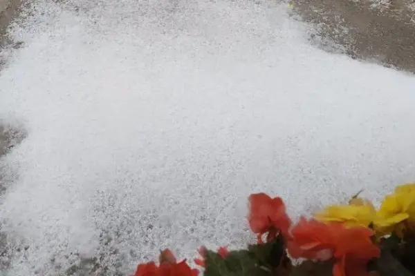 Next to Lithuania – weather anomalies: hail whitens on Monday, it will scorch at +40 on Friday