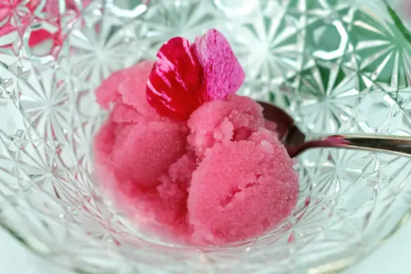 A South Korean restaurant owner faces prison for sorbet with ants