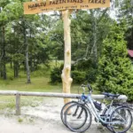 Svarbu važiuojantiems į pajūrį: svarbios taisyklės Palangoje, Šventojoje, Neringoje, Klaipėdoje