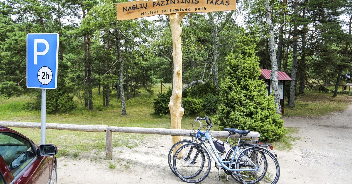 Svarbu važiuojantiems į pajūrį: svarbios taisyklės Palangoje, Šventojoje, Neringoje, Klaipėdoje