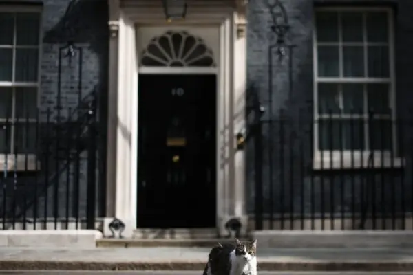 Cat Larry welcomes his seventh UK Prime Minister: "Politicians come and go"