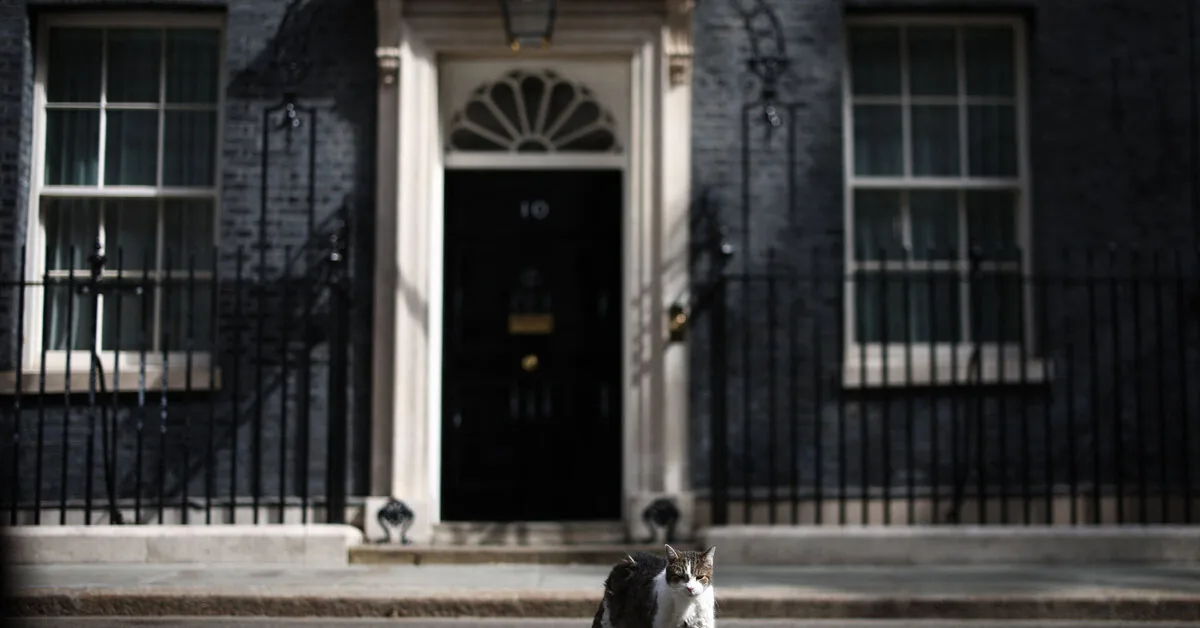 Cat Larry welcomes his seventh UK Prime Minister: "Politicians come and go"