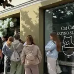"A live queue waited outside the door all day": Klaipėda's first cat cafe started with a bang