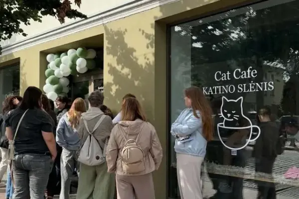 "A live queue waited outside the door all day": Klaipėda's first cat cafe started with a bang