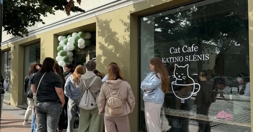 "A live queue waited outside the door all day": Klaipėda's first cat cafe started with a bang