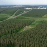 Latvia bought back the forest from Swedish owners for 26 million euros