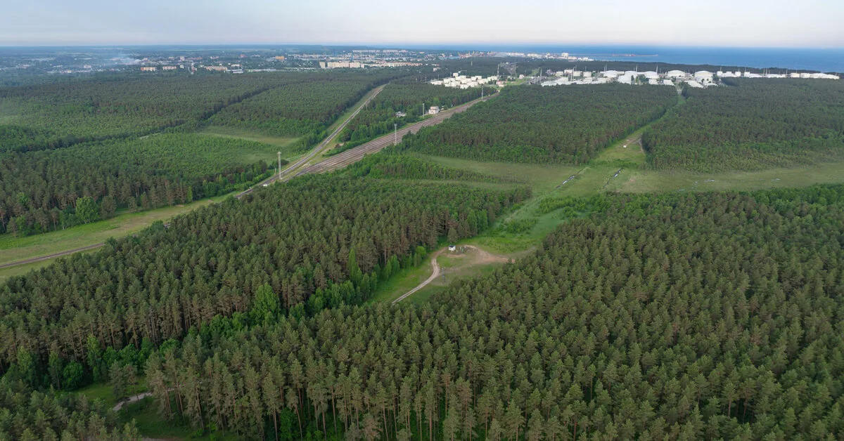 Latvia bought back the forest from Swedish owners for 26 million euros