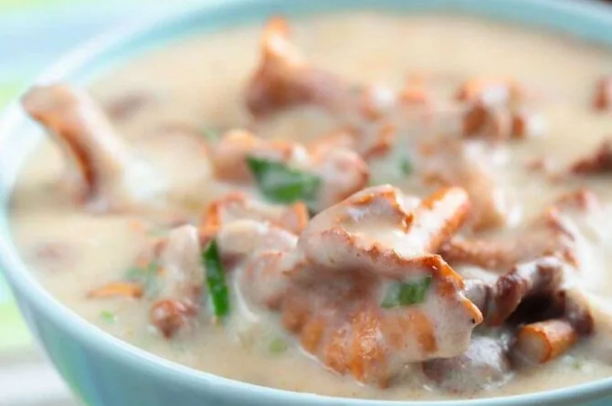 Chanterelle soup