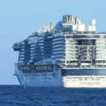 Tragedy on a US cruise ship: a person who fell overboard died