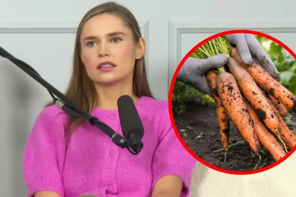 Men are becoming effeminate because they eat carrots affected by contraceptives? Words of a Lithuanian influencer caused a real storm
