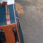 In the capital of Serbia – a suitcase with the body of a dead young Russian woman