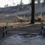Spanish officials: Flames have almost disappeared near Madrid