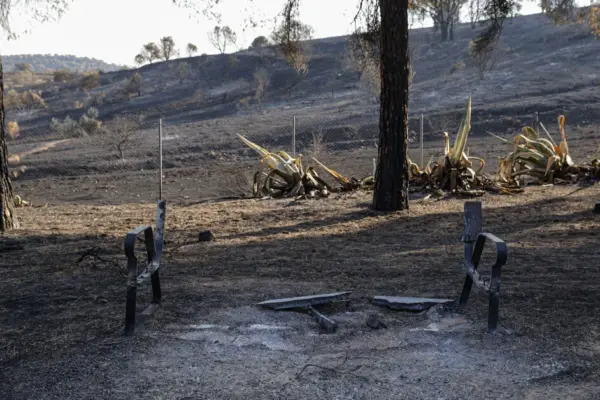 Spanish officials: Flames have almost disappeared near Madrid