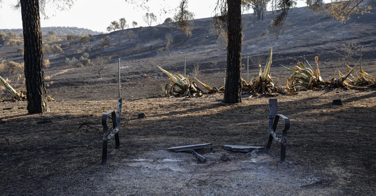 Spanish officials: Flames have almost disappeared near Madrid