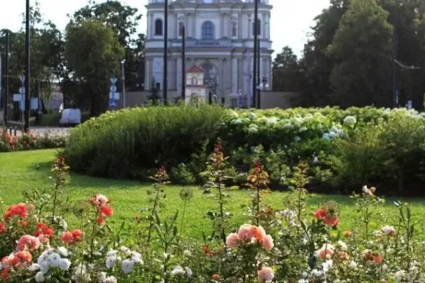 Vilnius residents chose their favorite flowerbed: an unexpected combination of shapes won their sympathy