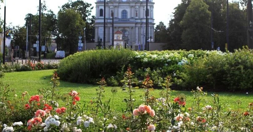 Vilnius residents chose their favorite flowerbed: an unexpected combination of shapes won their sympathy