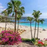 After 11 days of "all-inclusive" holidays in Spain – a thousand-euro debt: a surprise awaited the fugitive family at the airport