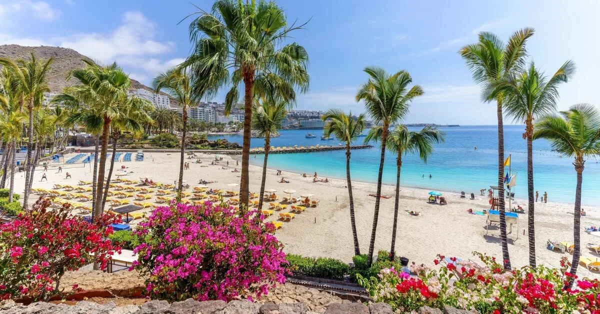 After 11 days of "all-inclusive" holidays in Spain – a thousand-euro debt: a surprise awaited the fugitive family at the airport