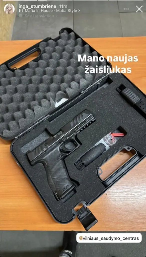 Screenshot/Inga Stumbrienė's weapon
