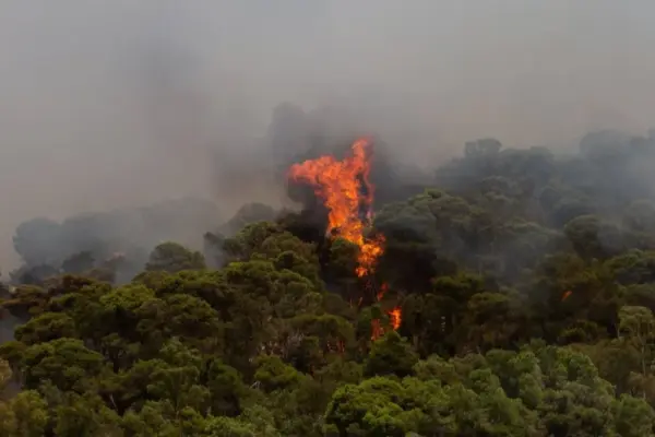 Devastating fires in Italy, Spain and France: thousands of people forced to leave their homes
