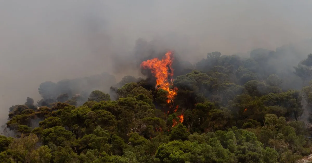 Devastating fires in Italy, Spain and France: thousands of people forced to leave their homes