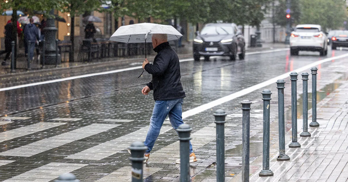 Latest weather forecast: yellow warning for dangerous weather across all of Lithuania