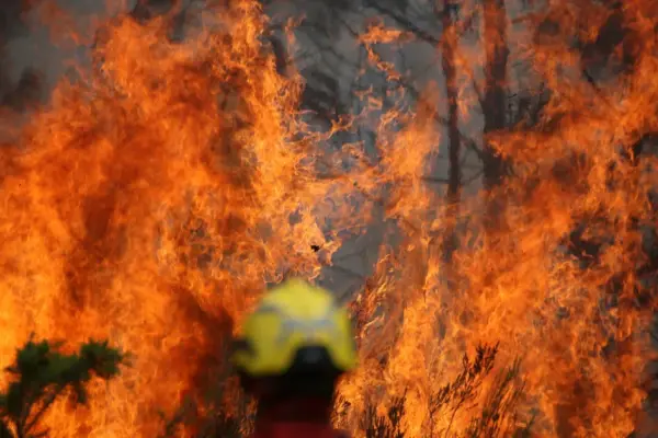 Official: The threat of fire in Southwest France remains very serious