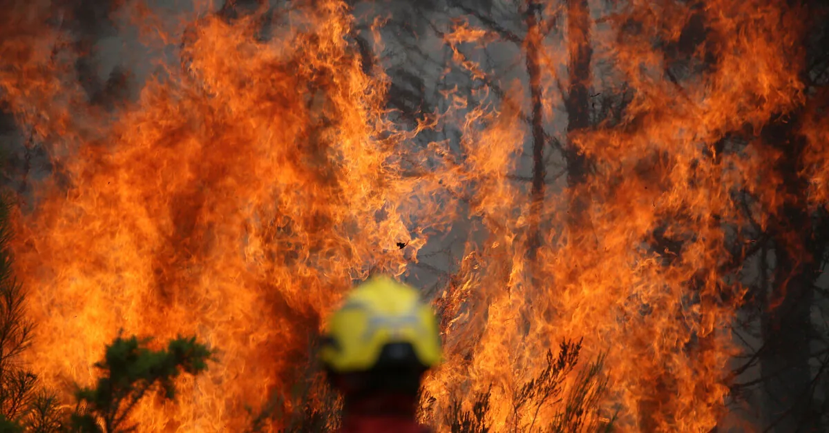 Official: The threat of fire in Southwest France remains very serious