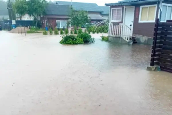 600 gardeners from Kaišiadorys' aspirations: illegal path through the forest and flooded plots