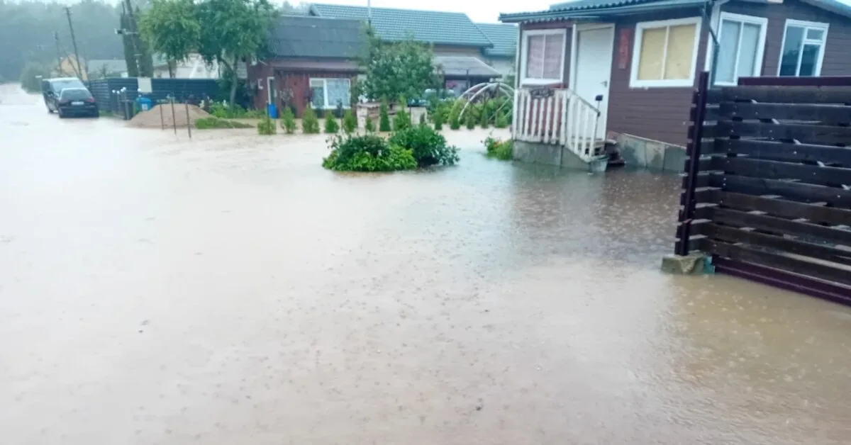 600 gardeners from Kaišiadorys' aspirations: illegal path through the forest and flooded plots