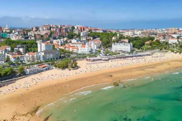 Warning for those traveling to Spain: invasion of dangerous creatures on the beaches, 800 people have already been affected
